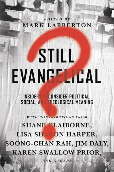 Still Evangelical?- Insiders Reconsider Political, Social, and Theological Meaning