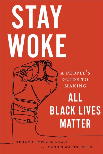 History of Race and Politics in the US Since 1968 cover image